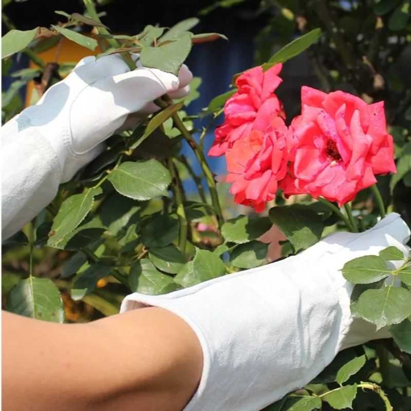 Para rękawic ogrodowych odporn – Gardening Glove Waterproof recenzja i cena