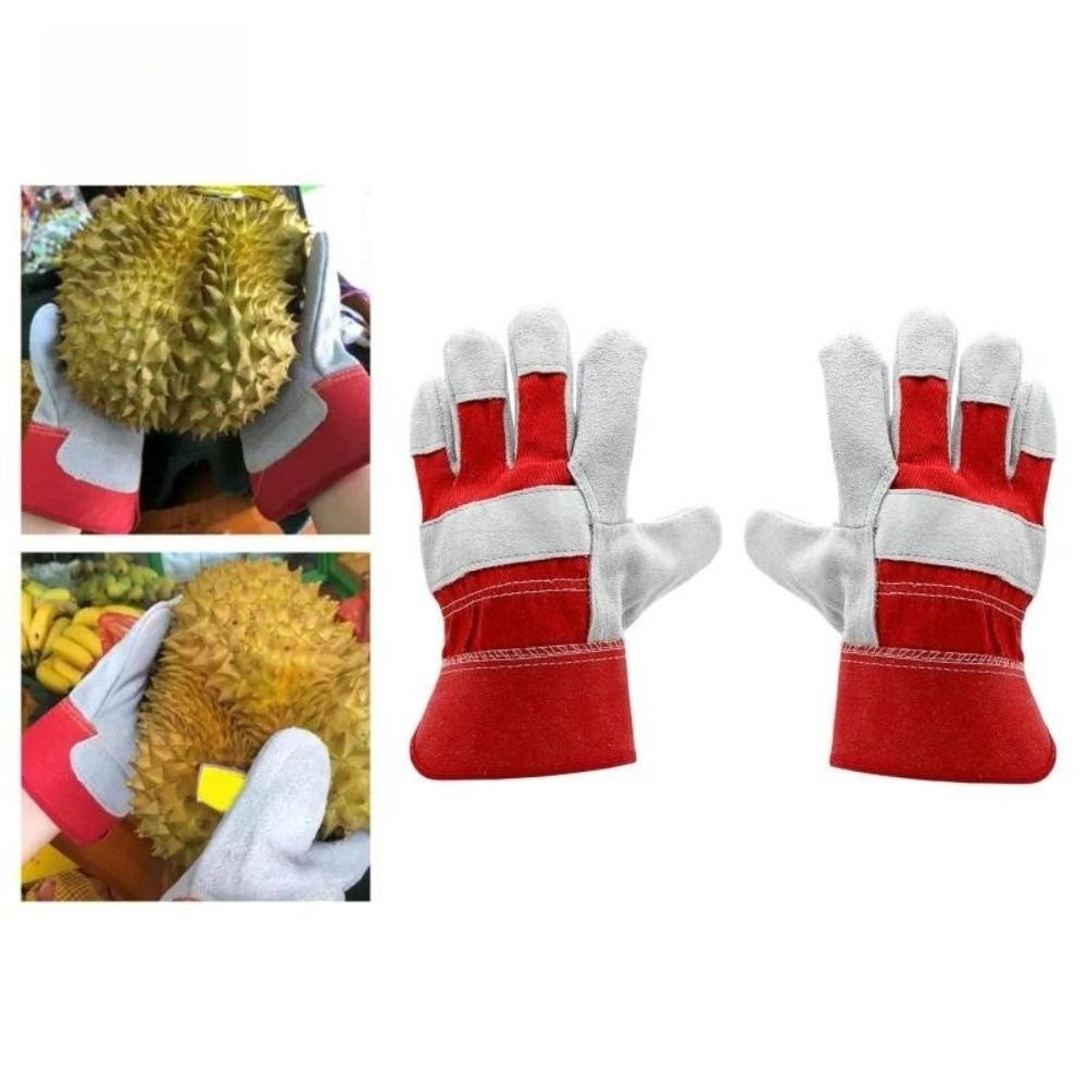 Rękawice ogrodnicze ze skóry b – Cut Resistant Glove recenzja i cena